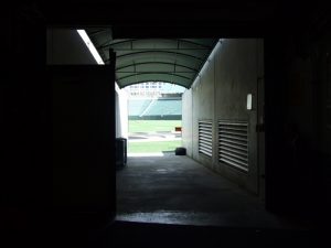 Bengals tunnel