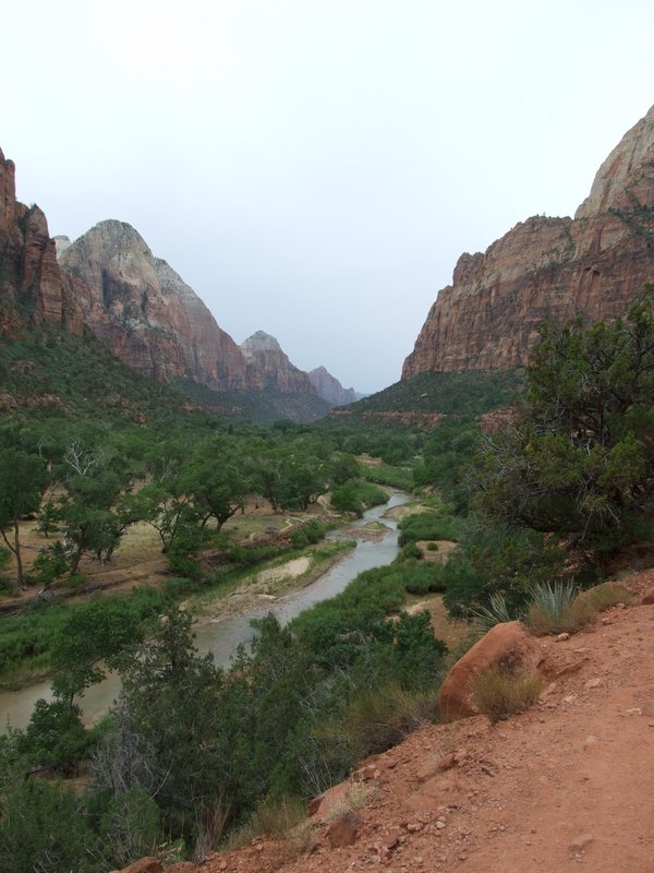 Beautiful view from the Emerald Loop in Zion National Park